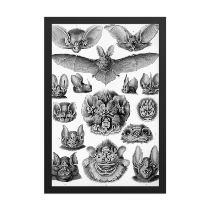 Bats print
