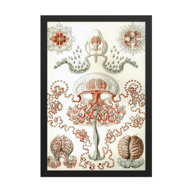Flower Jellyfish print