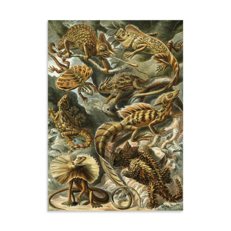 Lizards print