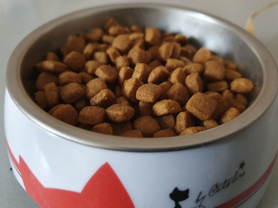 Cat food