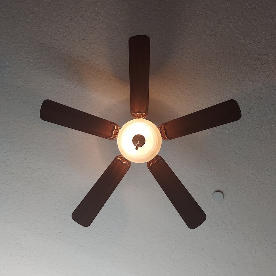 Ceiling fan