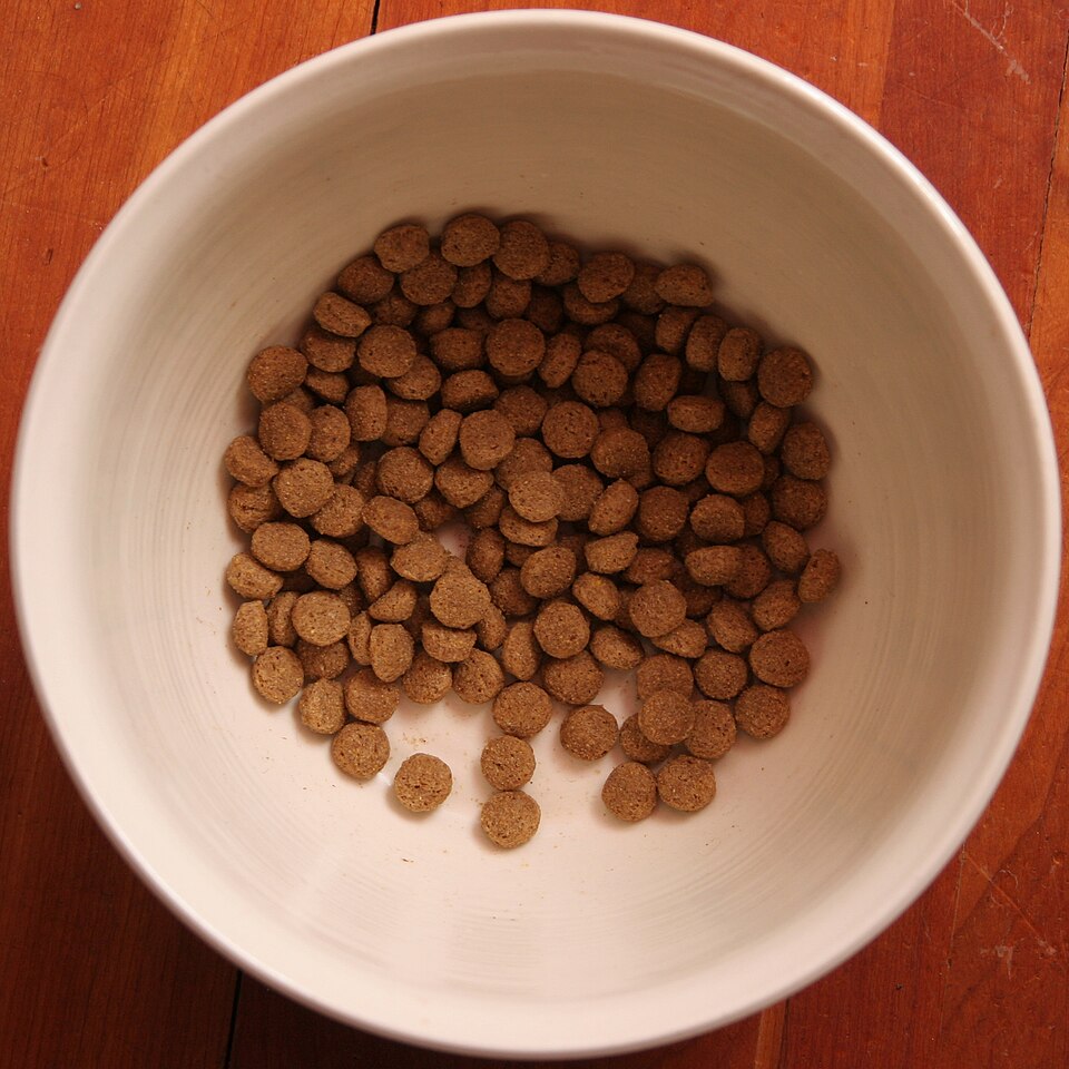 Dog food