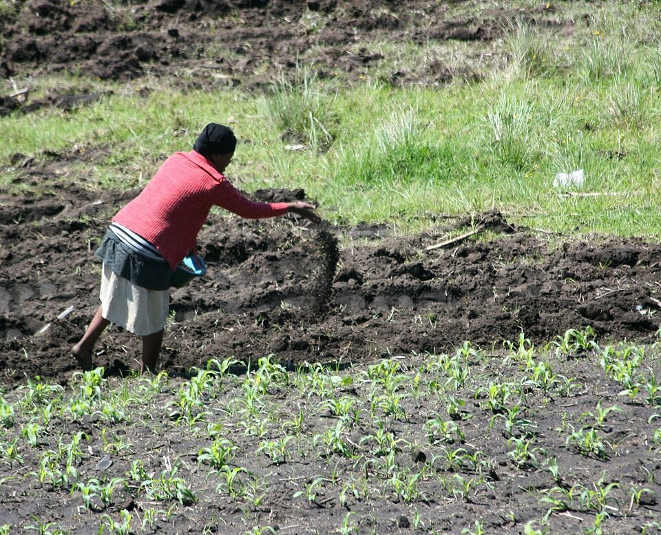 Fertilizer