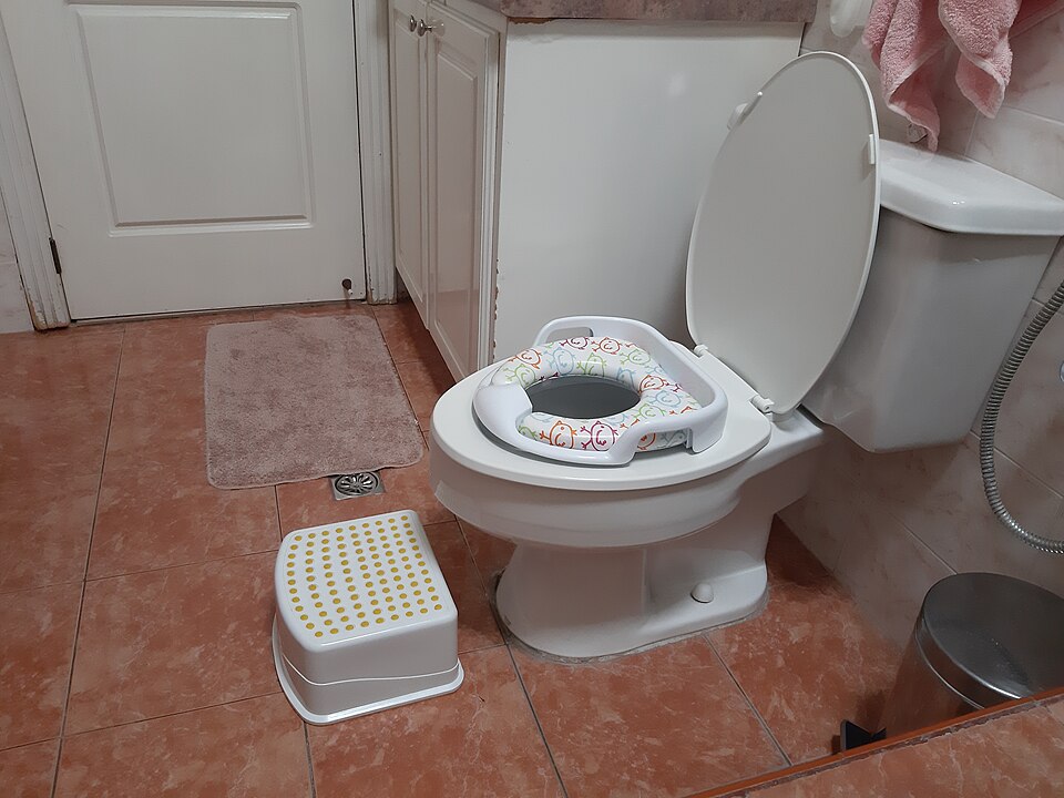 Potty training