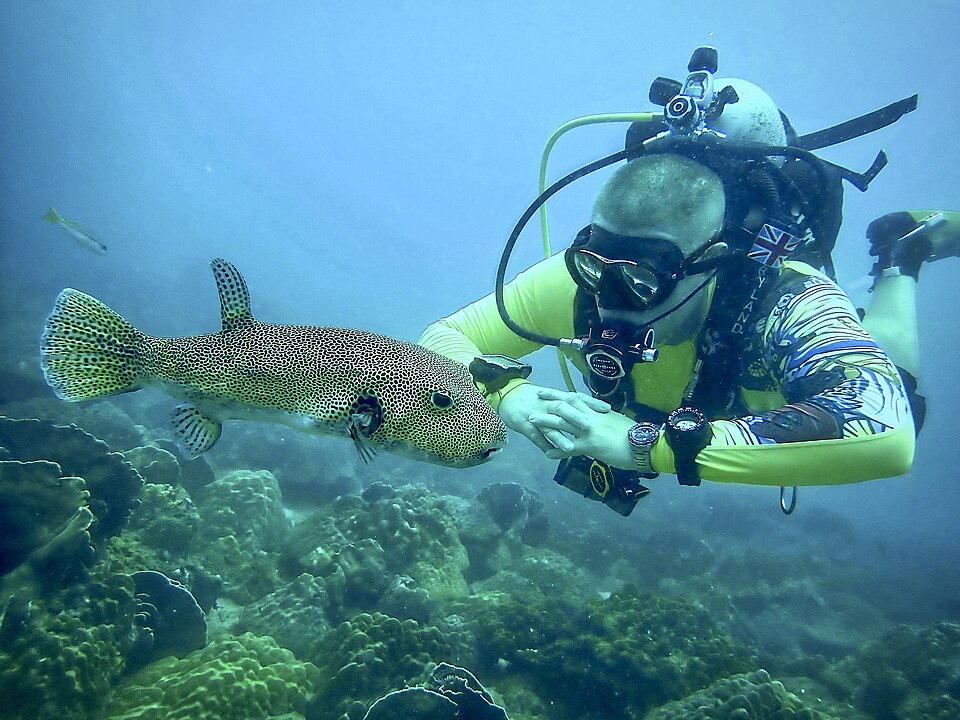 Scuba diving