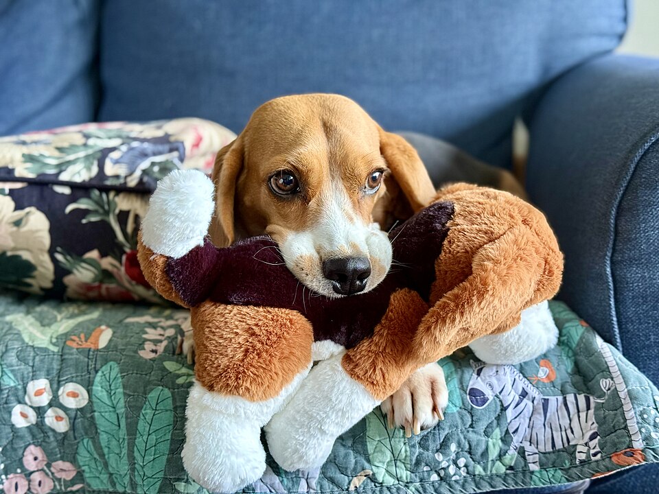 Stuffed toy