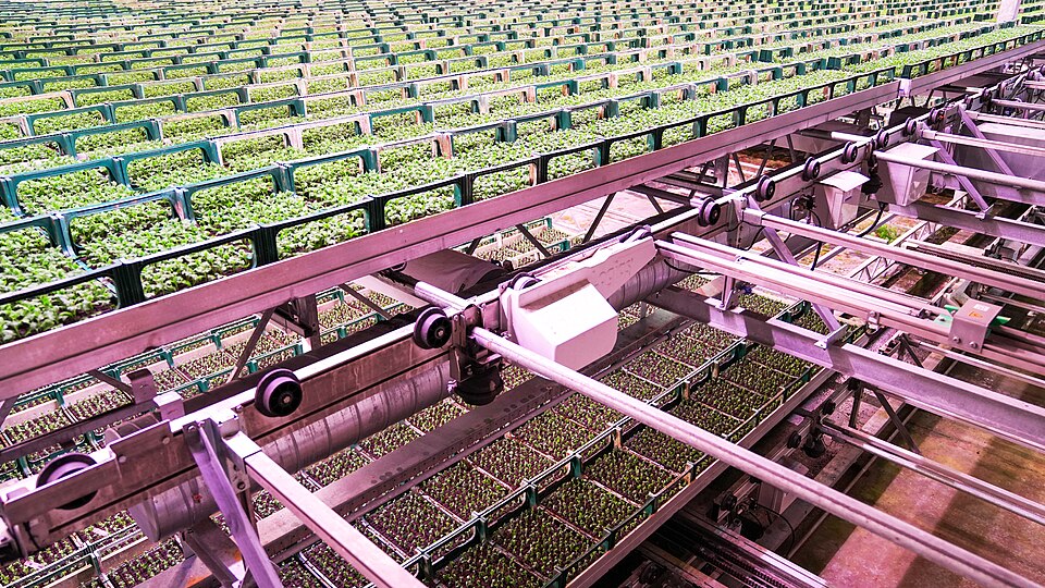 Vertical farming